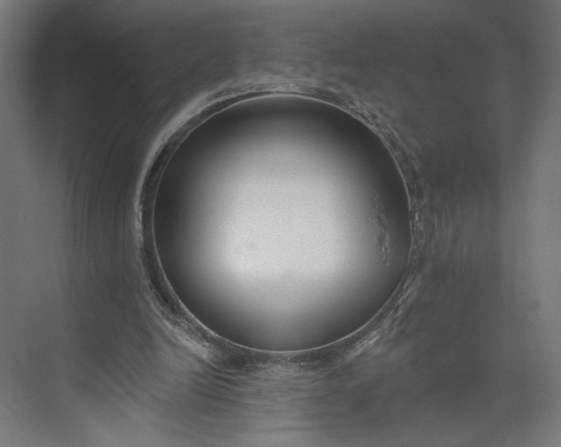 X0000073950246200609051800