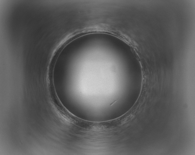 X0000073950248200609051800