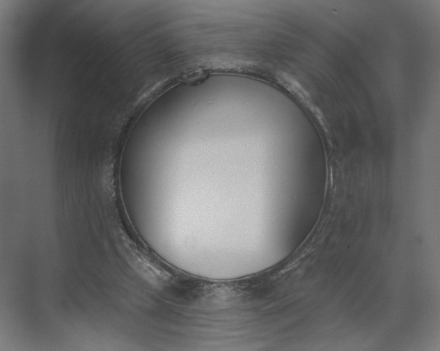 X0000073950249200609051800