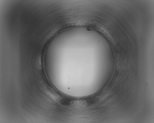 X0000073950251200609051800