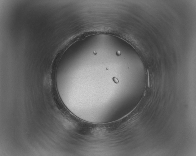 X0000073950252200609051800