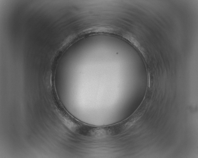 X0000073950253200609051800