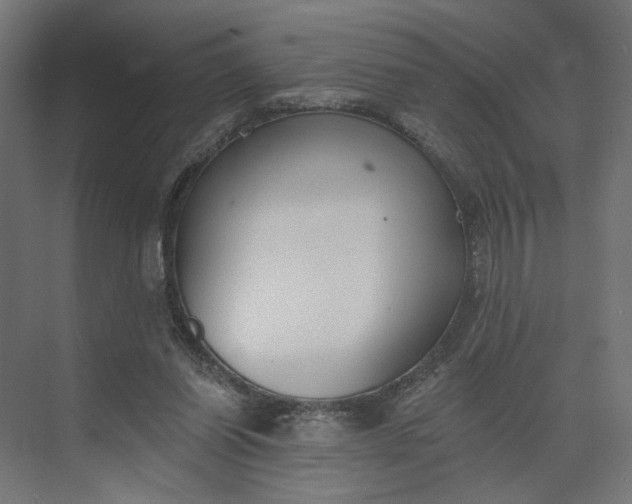 X0000073950254200609051800