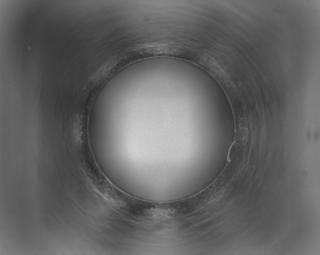 X0000073950255200609051800