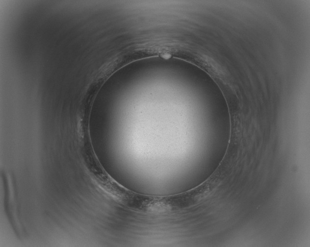 X0000073950258200609051800