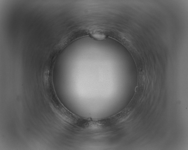 X0000073950263200609051800