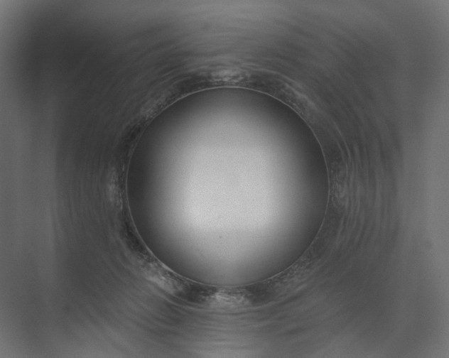 X0000073950270200609051800