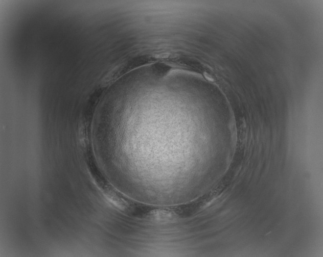 X0000073950272200609051800