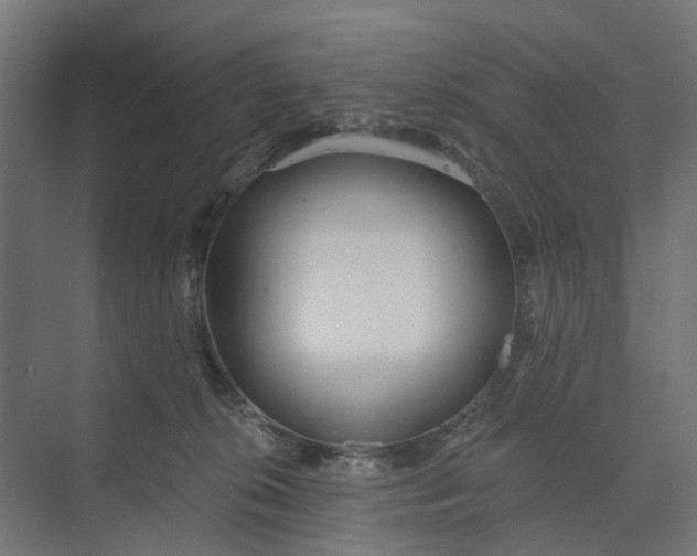 X0000073950276200609051800