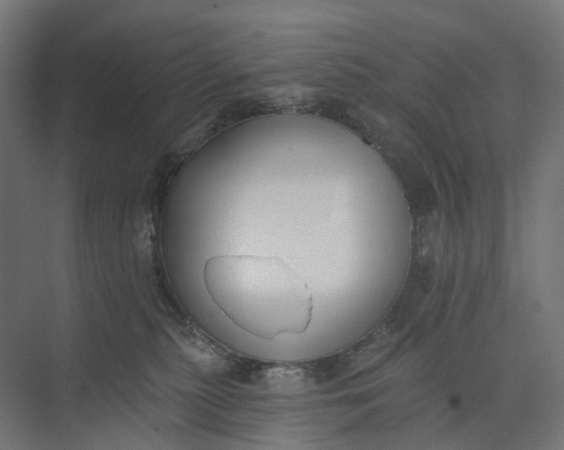 X0000073950279200609051800