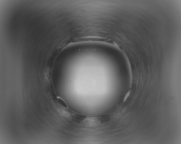 X0000073950280200609051800