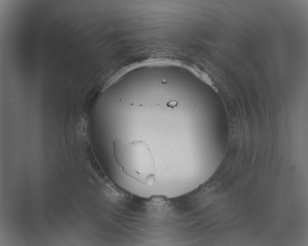 X0000073950281200609051800