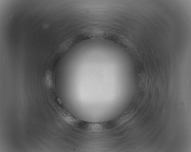 X0000073950287200609051801