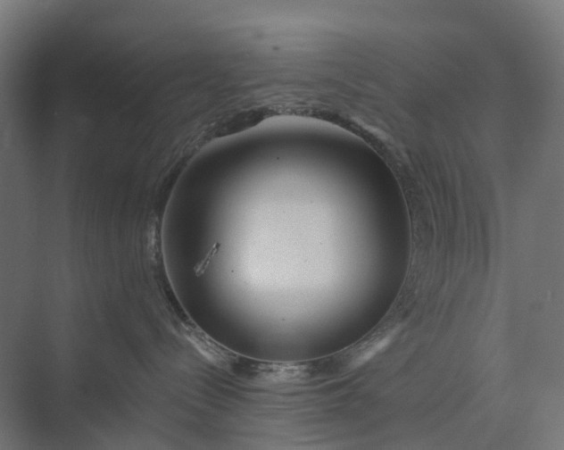 X0000073950288200609051801