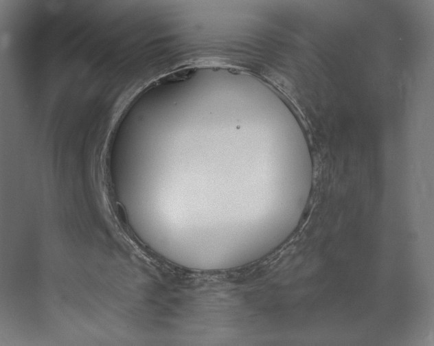 X0000073950289200609051800