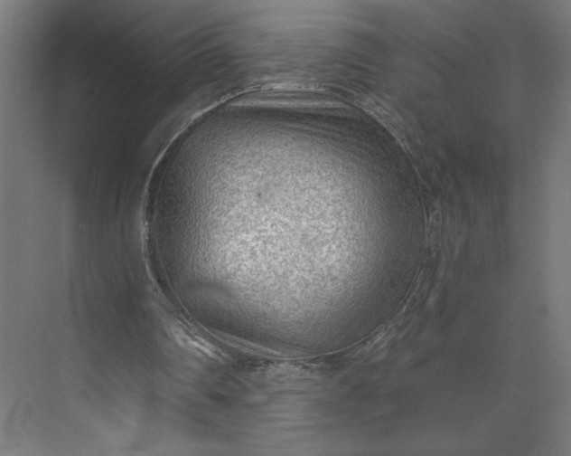 X0000073950290200609051800