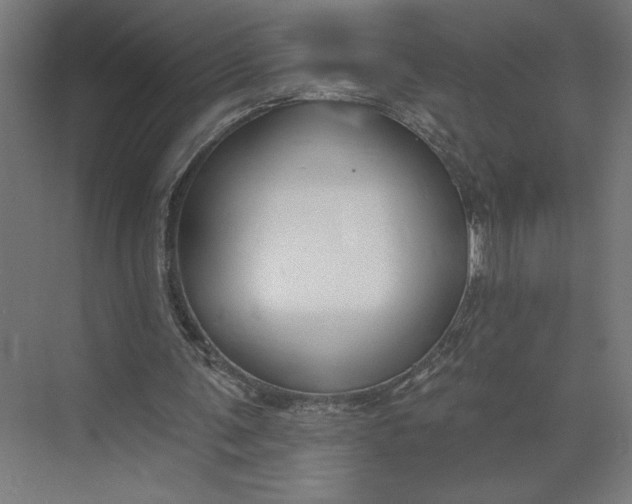 X0000073950291200609051800