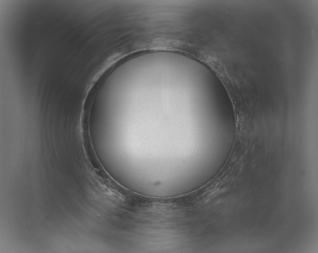 X0000073950292200609051800