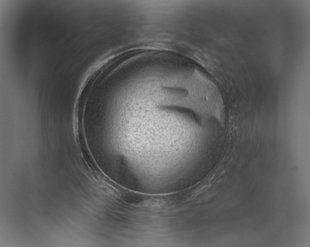 X0000073950294200609051800