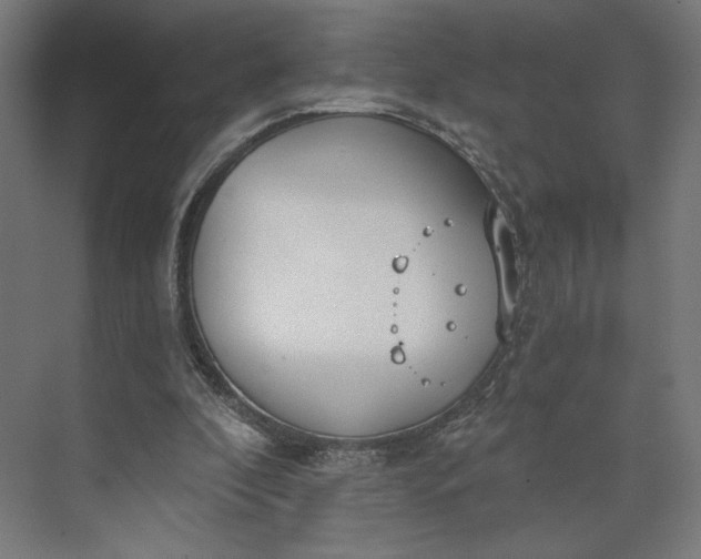 X0000073950296200609051800