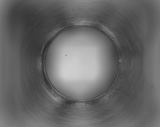 X0000073950298200609051800