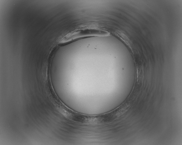 X0000073950301200609051800