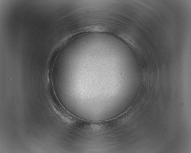 X0000073950302200609051800