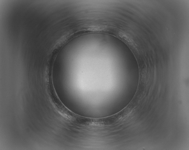 X0000073950303200609051800