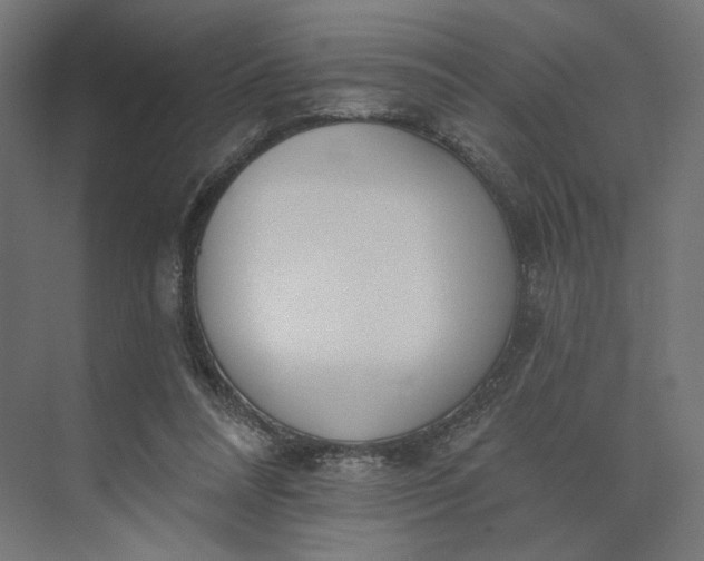 X0000073950304200609051800