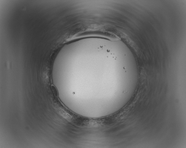 X0000073950305200609051800