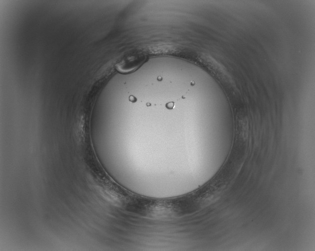 X0000073950308200609051759