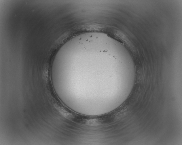 X0000073950309200609051759