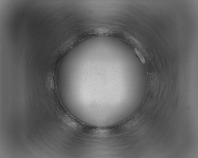 X0000073950313200609051759