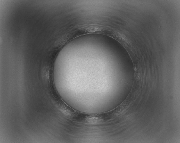 X0000073950315200609051759