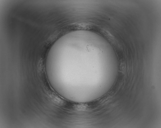 X0000073950318200609051759