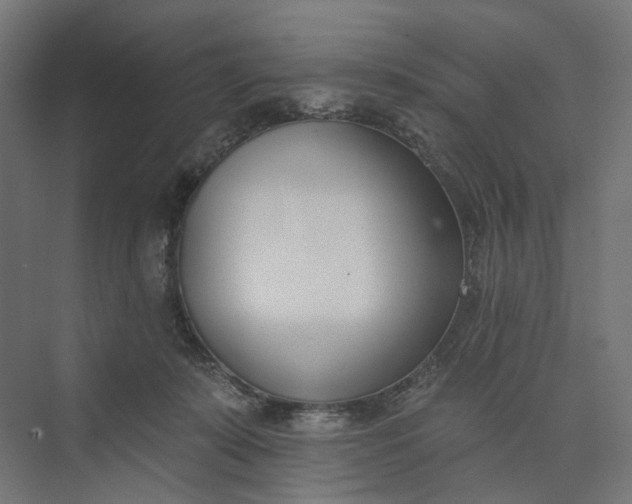 X0000073950319200609051759