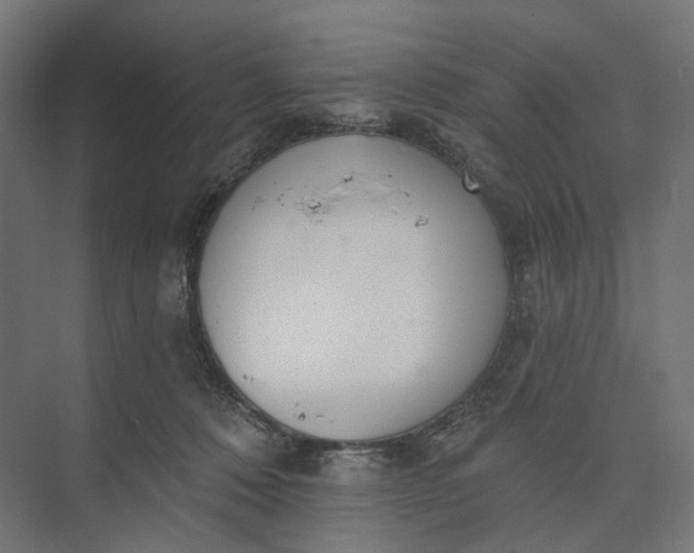 X0000073950320200609051759