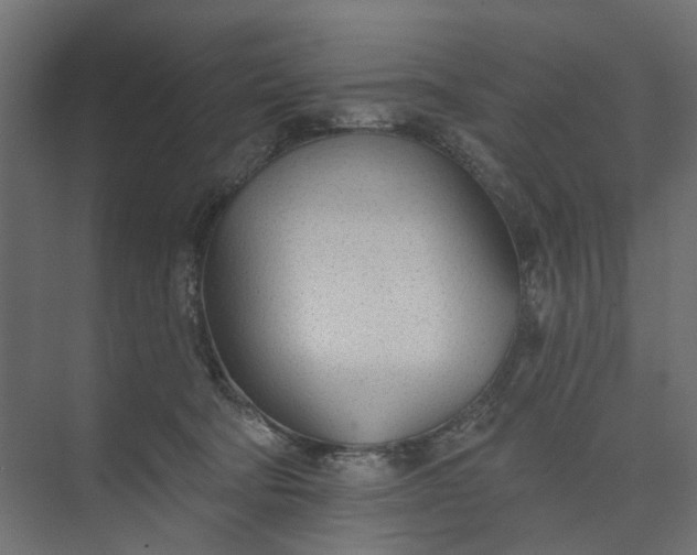 X0000073950322200609051759