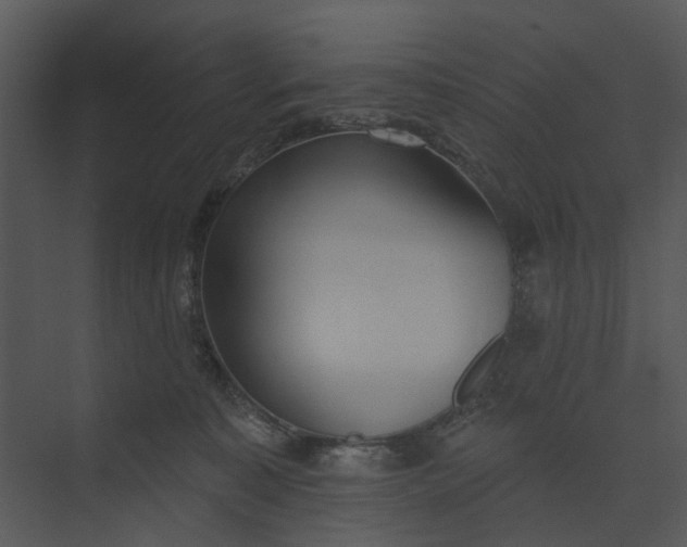 X0000073950323200609051759