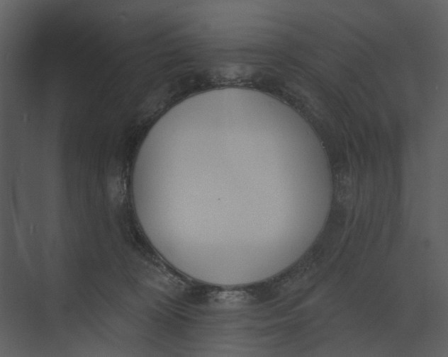 X0000073950324200609051759