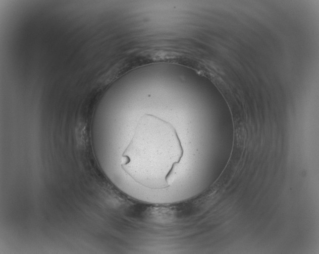 X0000073950327200609051759