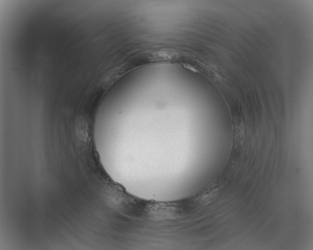 X0000073950331200609051759