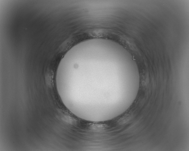 X0000073950332200609051759