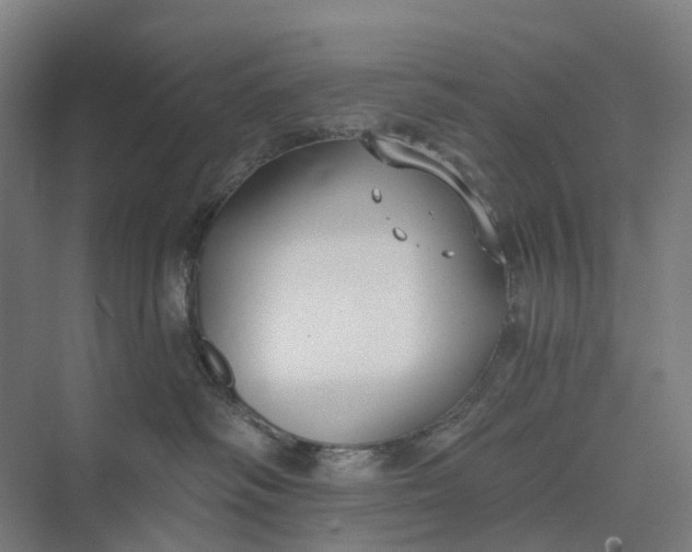 X0000073950334200609051759