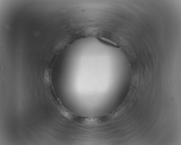 X0000073950335200609051759