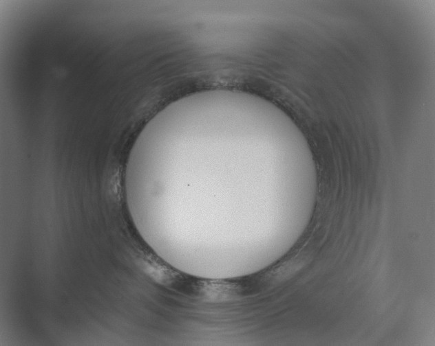 X0000073950336200609051759