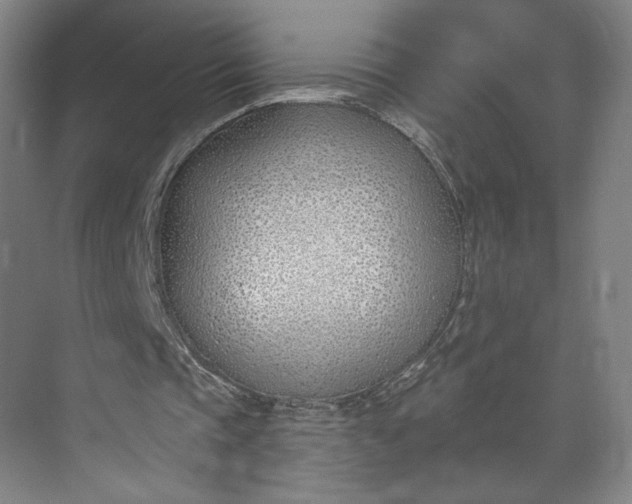 X0000073950337200609051758