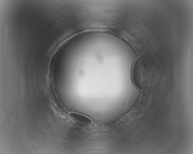 X0000073950338200609051758