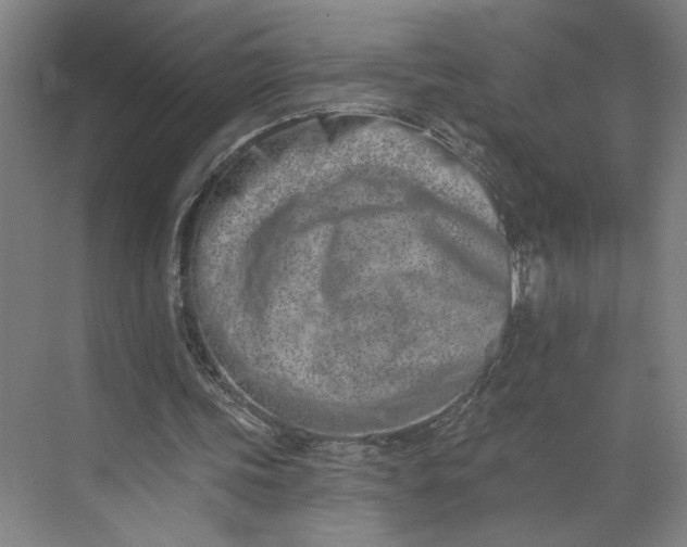 X0000073950339200609051758