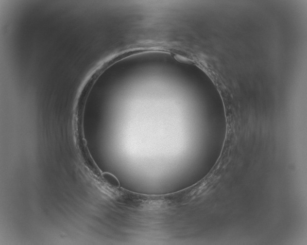 X0000073950342200609051758